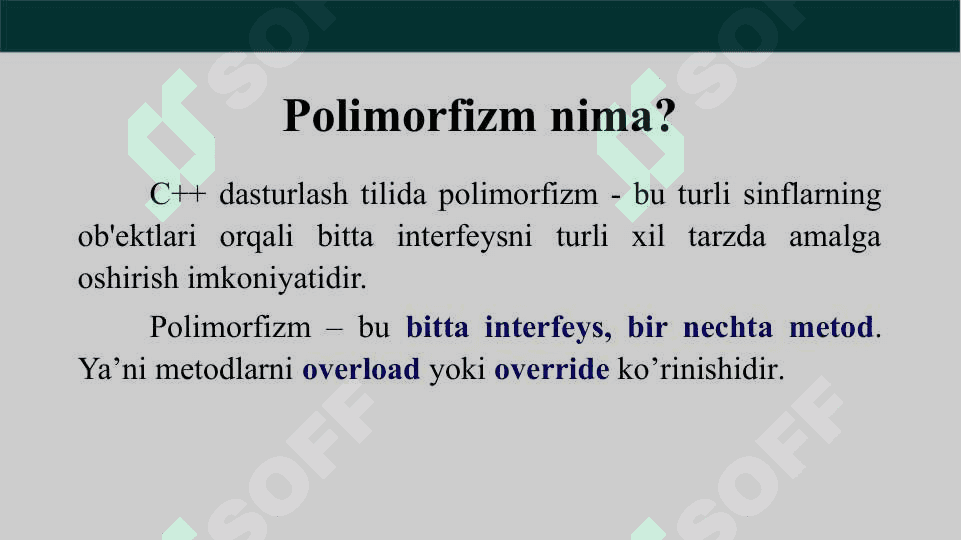 Polimorfizm 3