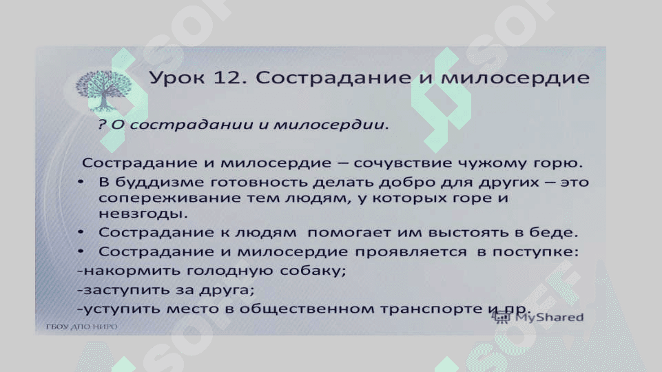 Что такое сострадание 7
