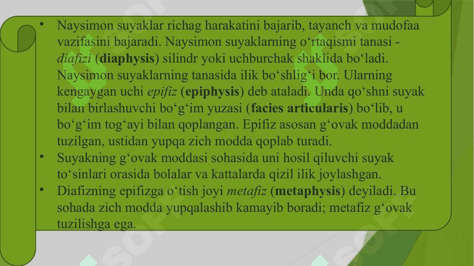 Suyak o'sishida turmush tarzining va tashqi omillarning ta’siri. 4