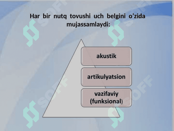 NUTQ  ORGANLARI 3