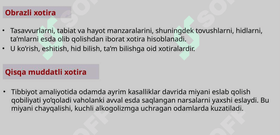 Oliy nerv faoliyati. Xotira va unga ta’sir etuvchi omillar 4