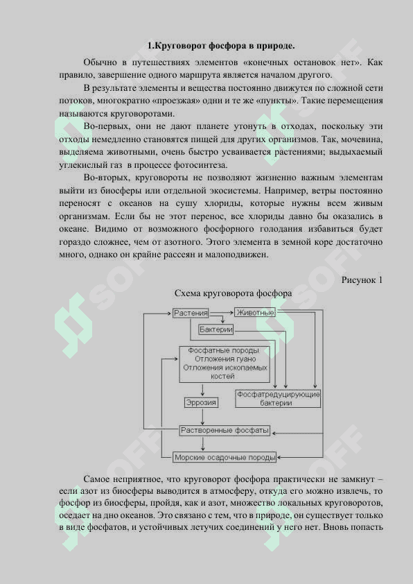 ОПРЕДЕЛЕНИЕ СОДЕРЖАНИЯ ФОСФОРА В ПИЩЕВЫХ ПРОДУКТАХ 3