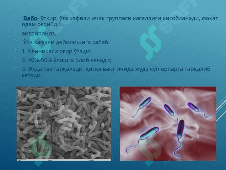 Vabo kasalligining qo’zg’atuvchisi 3