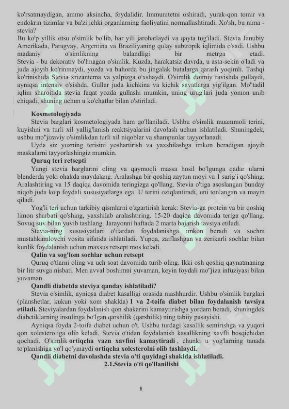 Steviya rebaudiana 8