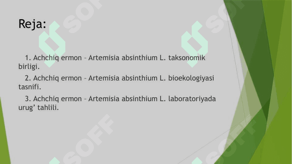 Achchiq ermon (Польн горькая) - Artemisia absinthium L. oʻsmligi urugʻini labaratoriya tahlili. 2