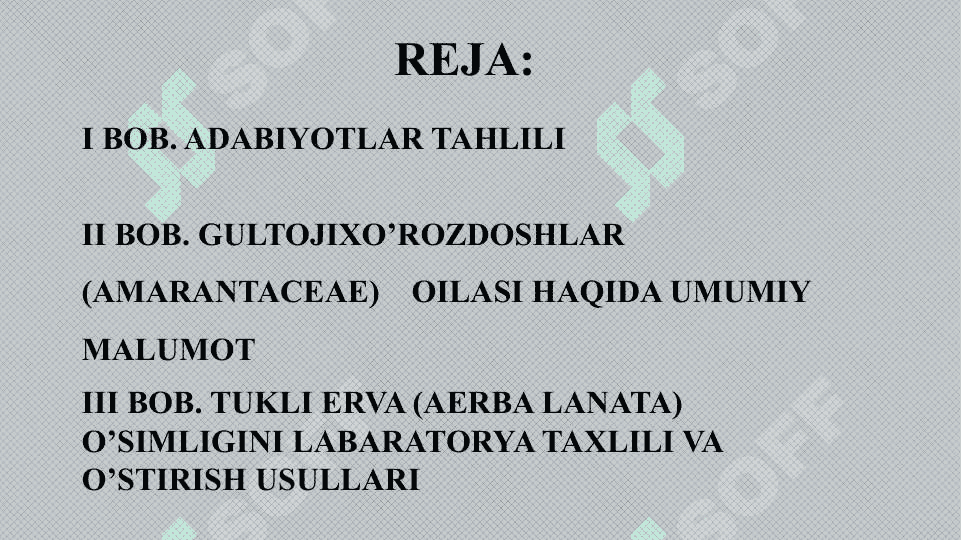 Tukli erva (Эрва шерсистая Пол пола) Aerba lanata L. Juss oʻ’simligi urug’larining labaratorya tahlili 2
