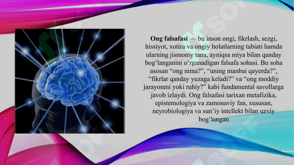 Ong falsafasi (TAQDIMOT) 3