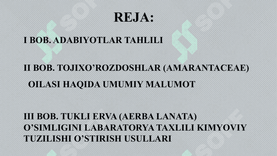 Tukli erva (Эрва шерсистая Пол пола) Aerba lanata L. Juss. O’simligi urug’larining labaratorya tahlili 2