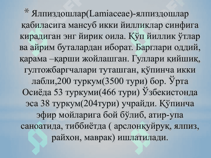 Ялпиз туркуми ва турларини аниқлаш усуллари. 4