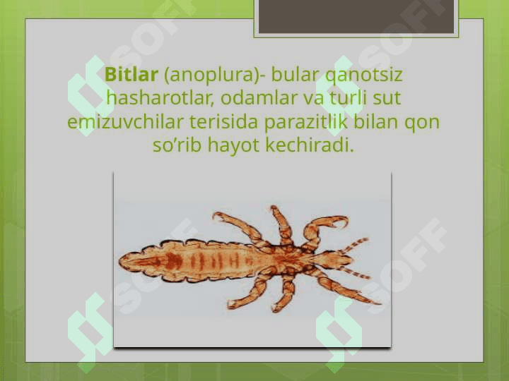 Haharotlar sistemasiga oid tadqiqotlar tahlilari 2
