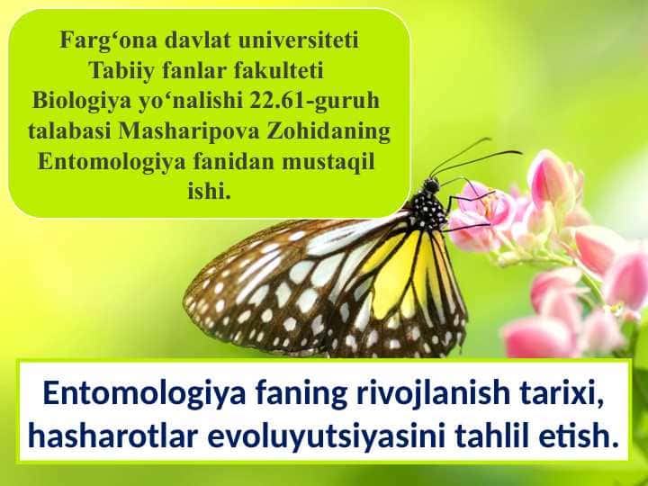 Entomologiya faning rivojlanish tarixi, hasharotlar evoluyutsiyasini tahlil etish