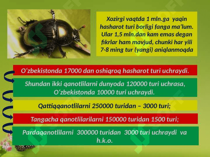 Entomologiya faning rivojlanish tarixi, hasharotlar evoluyutsiyasini tahlil etish 3