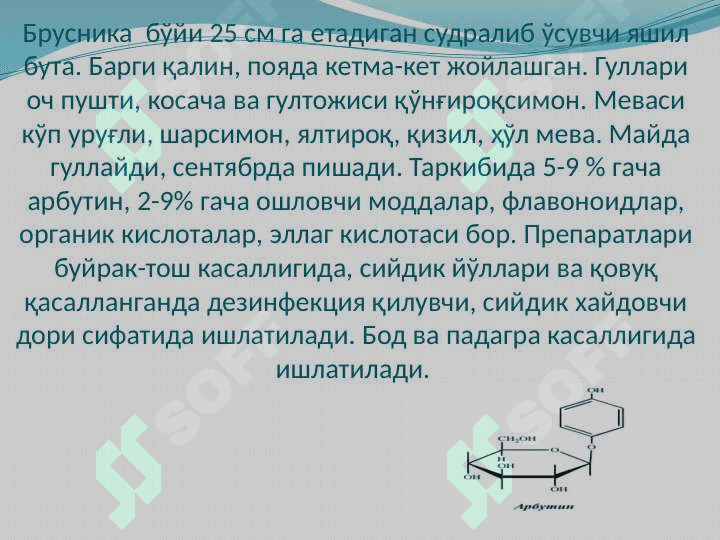 Фенол бирикма ва лигнин сақловчи  доривор ўсимликлар 7
