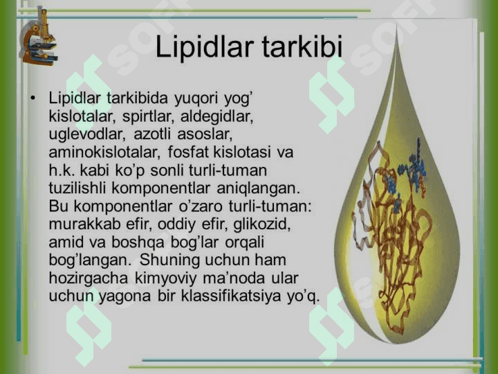 Tarkibida lipidlar bo’lgan dorivor o’simliklar va mahsulotlar. 6