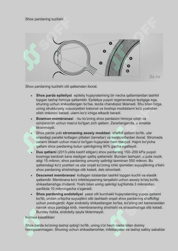 Shox parda va uning kasalliklari. 2