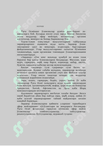 Зира 3