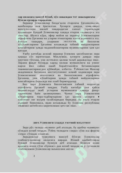 Зира 4