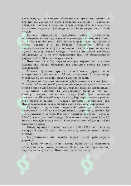 Зира 5