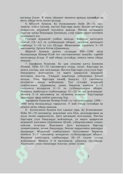 Зира 7