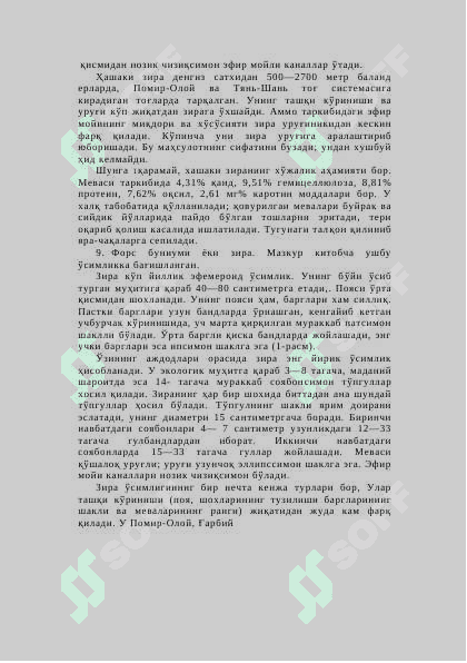 Зира 8