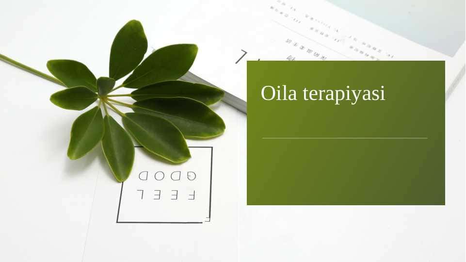 Oila terapiyasi