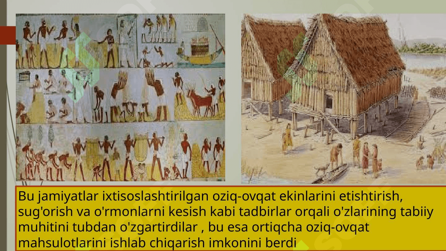 Etnoarxeologiya 7