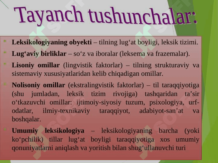 Tilining leksik sathi. Leksikologiya 4