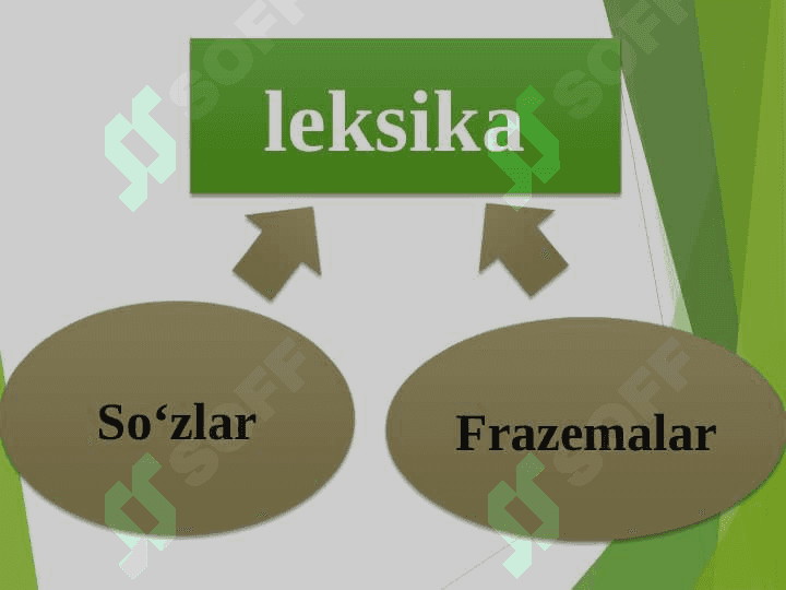 Tilining leksik sathi. Leksikologiya 8