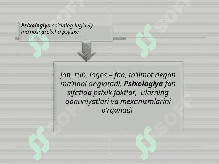Umumiy psixologiya fanining predmeti, maqsad, vazifalari, tamoyillari  va tadqiqot metodlari 4