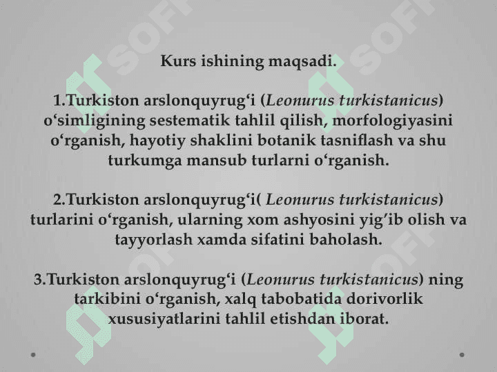 Arslonquloq (Leonurus L.) xom ashyosini yig’ib olish va tayyorlash xamda sifatini baholash 3