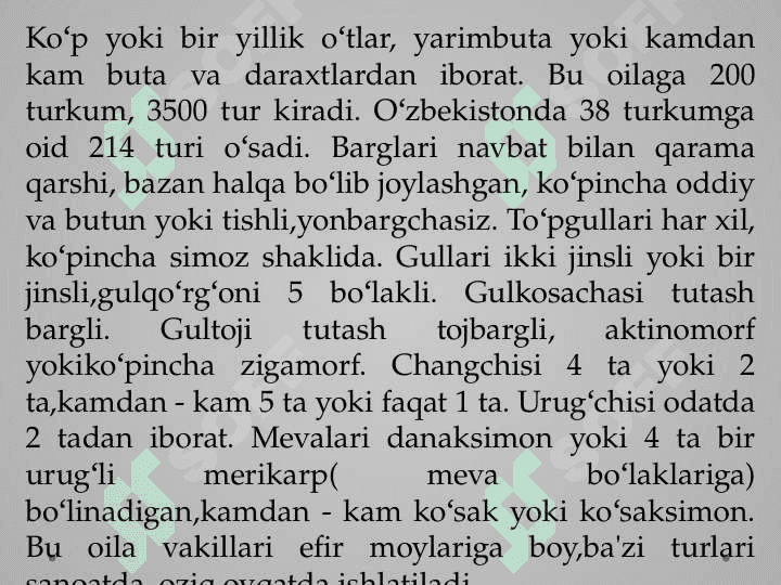Arslonquloq (Leonurus L.) xom ashyosini yig’ib olish va tayyorlash xamda sifatini baholash 7