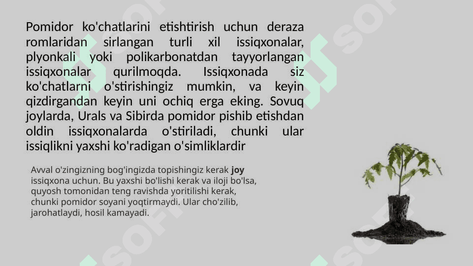 Issiqxonalarda ko’chatlarni parvarishlash agrotexnikasi. Issiqxona haroratini meyorlashtirish tartibi 3