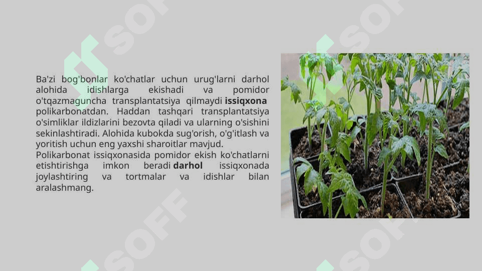 Issiqxonalarda ko’chatlarni parvarishlash agrotexnikasi. Issiqxona haroratini meyorlashtirish tartibi 5