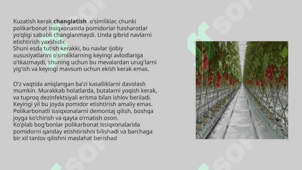 Issiqxonalarda ko’chatlarni parvarishlash agrotexnikasi. Issiqxona haroratini meyorlashtirish tartibi 8
