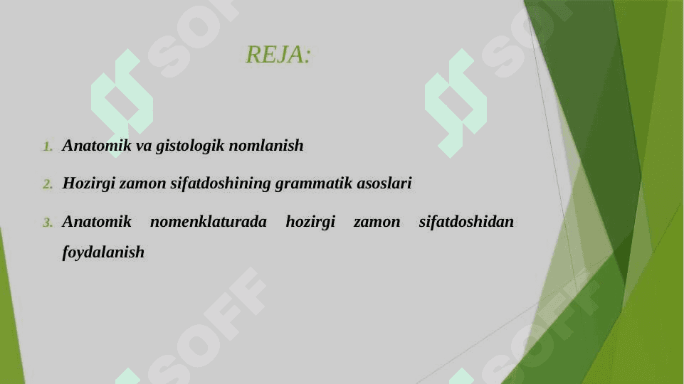 ANATOMIK VA GISTOLOGIK NOMENKLATURALARIDA QO'LLANILADIGAN HOZIRGI ZAMON SIFATDOSHINING ANIQLIK NISBATI.(ABDUCENS-UZOQLASHUVCHI, PERFORANS YORILUVCHI) 2