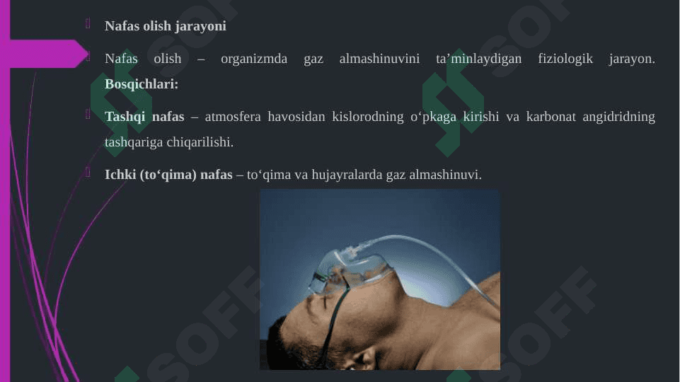 NAFAS OLISH JARAYONI. NAFAS A'ZOLARINING RENTGENANATOMIYASI VA RIVOJLANISH NUQSONLARI 3