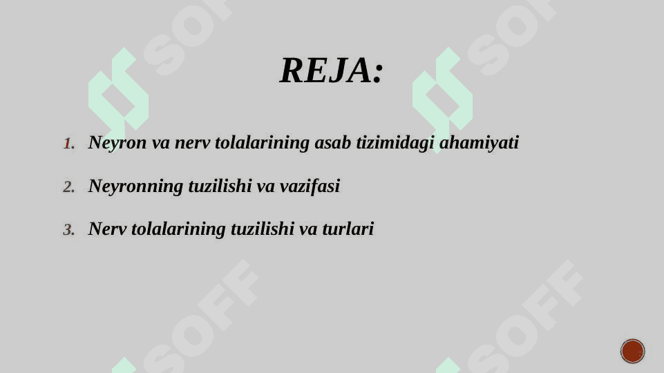 Neyron va nerv tolalari fiziologiyasi 2