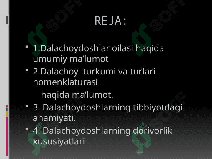 Dalachoydoshlar oilasi 2