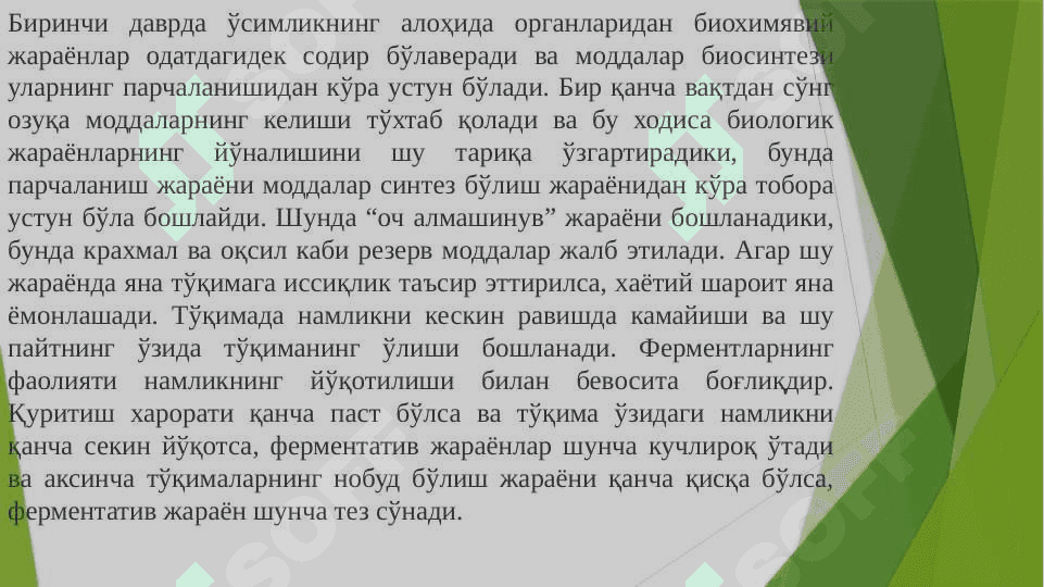 ДОРИВОР ЎСИМЛИКЛАР ХОМ АШЁСИНИ ҚУРИТИШ УСУЛЛАРИ 6