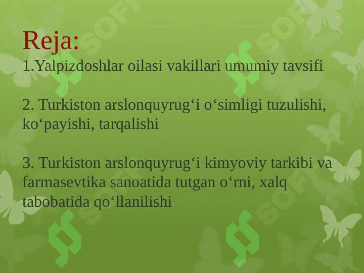 Turkiston arslonquyrugʻi  (Пустырник туркестанский)-Leonurus turkistanicus oʻsimligini yetishtirish texnologiyasi. 2