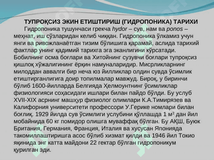 Замонавий гидропоник иссиқхоналарида сабзавот етиштириш технологияси 3