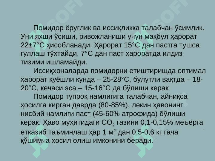 Гидропоникада помидор ва бодринг етиштириш технологияси. 4