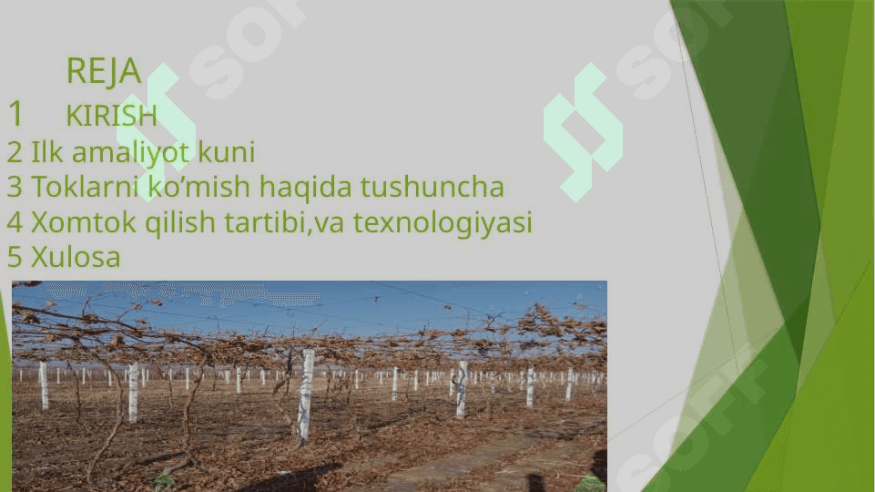 UZUMCHILIK MODULIDAN AMALIYOT HISOBOTI 2
