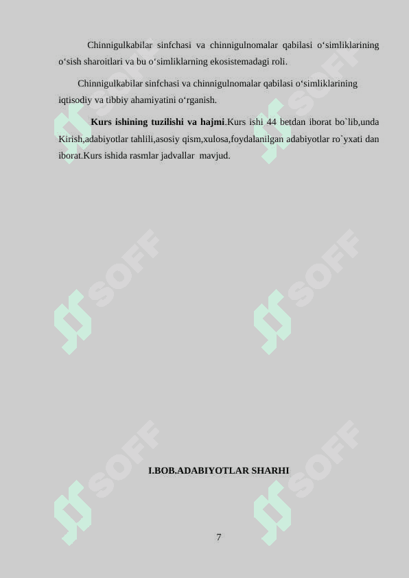 Chinnigulkabilar sinfchasi va chinnigulnomalar qabilasi 7