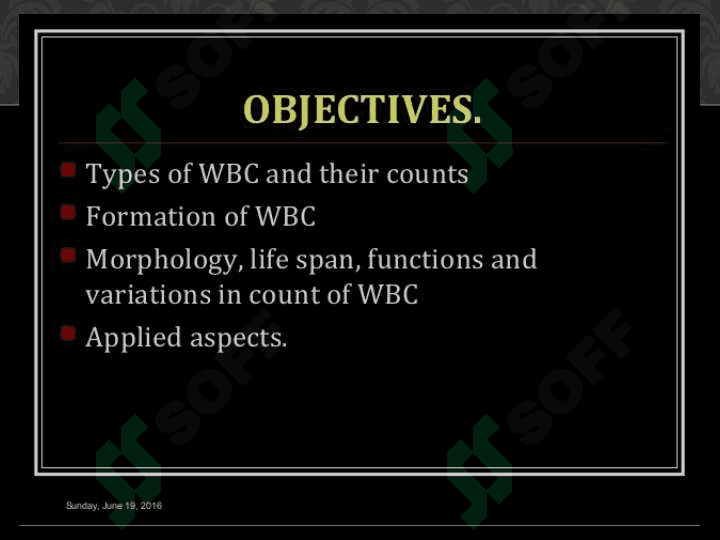 LEUKOCYTES WHITE BLOOD CELLS 3
