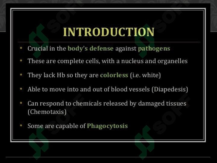 LEUKOCYTES WHITE BLOOD CELLS 4