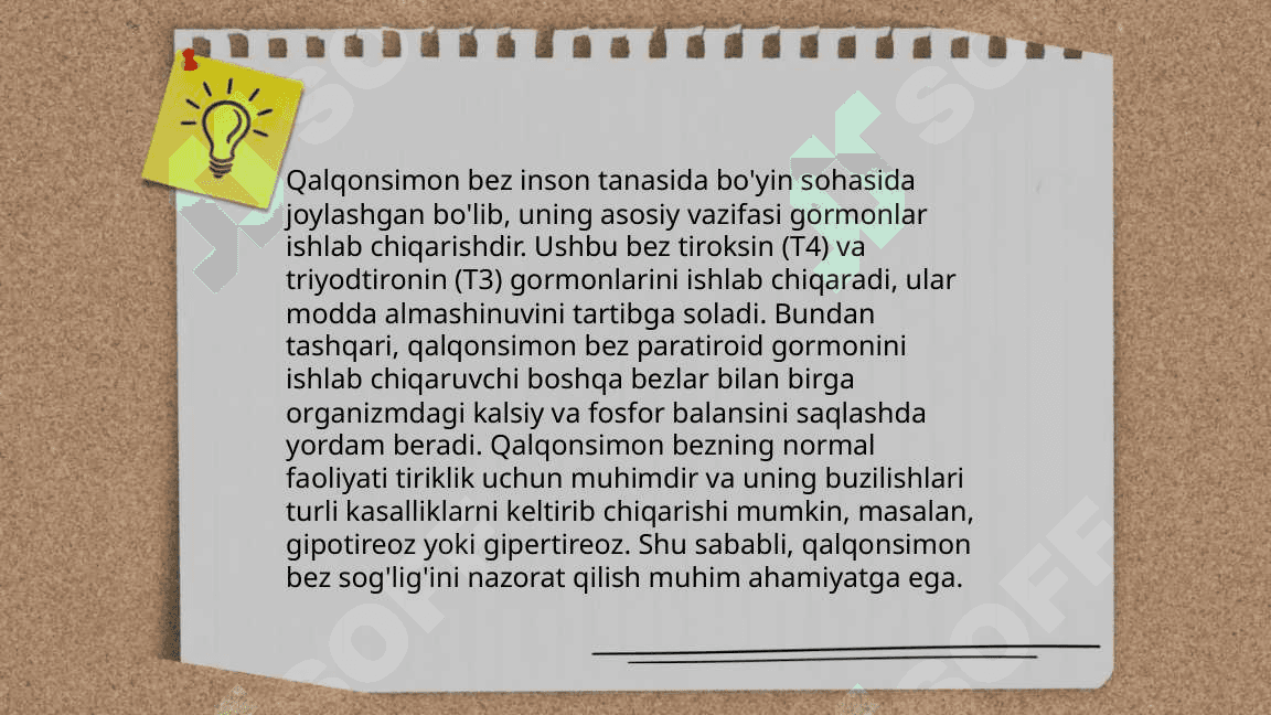 Endokrin sistema 4