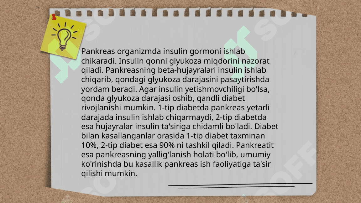 Endokrin sistema 7