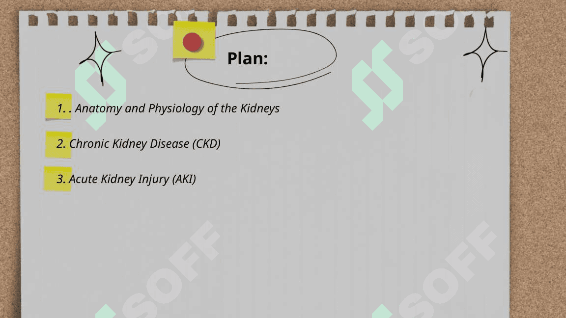 Kidney 2