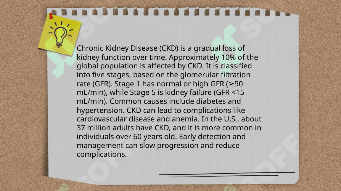 Kidney 4